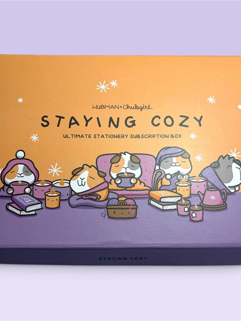 Hubman & Chubgirl “Staying Cozy” Ultimate Stationery Subscription Box 🧶☕💜